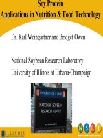 Soy Protein Applications in Nutrition & Food Technology docx