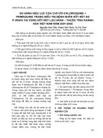 So sánh hiệu lực của CV8 với Chloroquine + Primaquine tronddieeuef trị bệnh nhân sốt rét do P. Vinax tại vùng sốt rét lưu hành - thuộc tỉnh Khánh Hòa Việt Nam 2001 - 2001 doc
