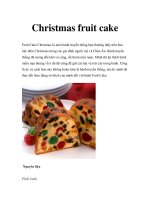Christmas fruit cake pdf