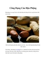 Công Dụng Của Đậu Phộng ppt