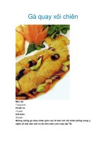Gà quay xôi chiên pdf