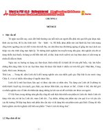 Luận văn: Nấm linh chi đóng chai pdf