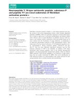 Báo cáo khoa học: Neuropeptide Y, B-type natriuretic peptide, substance P and peptide YY are novel substrates of fibroblast activation protein-a pdf