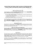 INSTRUCTIONS FOR FLORIDA FAMILY LAW RULE OF PROCEDURE FORM 12.902(c), FAMILY LAW FINANCIAL AFFIDAVIT (LONG FORM)(09/12) potx