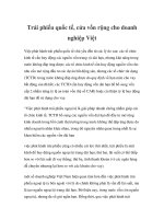 Trái phiếu quốc tế, cửa vốn rộng cho doanh nghiệp Việt pdf