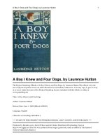 A Boy I Knew and Four Dogs ppt