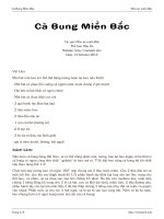 Cà Bung Miền Bắc docx