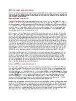 erp cho ngành phân phối