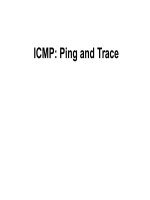 ICMP: Ping and Trace ppt