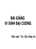 BÀI GIẢNG VI SINH ĐẠI CƯƠNG potx