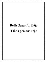 Bodh Gaya (Ấn Độ): Thành phố đất Phật pot