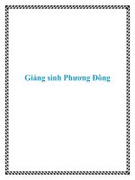 Giáng sinh Phương Đông ppt