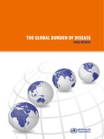 THE GLOBAL BURDEN OF DISEASE 2004 UPDATE docx