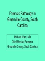 Forensic Pathology or Gunshot Wounds pot