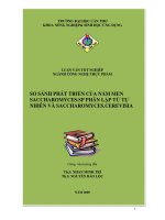 luận văn: SO SÁNH PHÁT TRIỂN CỦA NẤM MEN SACCHAROMYCES.SP PHÂN LẬP TỪ TỰ NHIÊN VÀ SACCHAROMYCES.CEREVISIA pptx