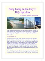 Năng lượng tái tạo thay vì Điện hạt nhân ppt