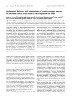 Báo cáo khoa học: Antioxidant defences and homeostasis of reactive oxygen species in different human mitochondrial DNA-depleted cell lines pot