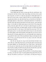 Giải pháp hoàn thiện quản lý vốn nhà nước trong các CTCP của tỉnh Nghệ An