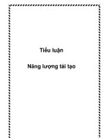 tiểu luận thực trạng năng lượng tái tạo