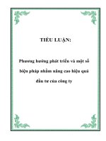 TIỂU LUẬN: Phương hướng phát triển và một số biện pháp nhằm nâng cao hiệu quả đầu tư của công ty pot