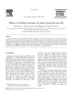 Effects of ambient pressure on silicon nanowire growth