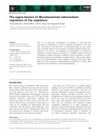 Báo cáo khoa học: The sigma factors of Mycobacterium tuberculosis: regulation of the regulators potx