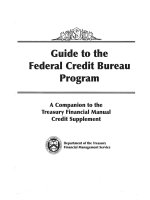 GUIDE TO THE FEDERAL CREDIT BUREAU PROGRAM - A COMPANION TO THE TREASURY FINANCIAL MANUAL CREDIT SUPPLEMENT ppt