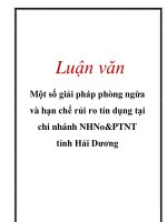 Luận văn: Một số giải pháp phòng ngừa và hạn chế rủi ro tín dụng tại chi nhánh NHNo&PTNT tỉnh Hải Dương pptx