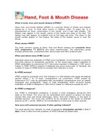 Hand, Foot & Mouth Disease pot