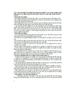 dề cương ôn tập về môi trường