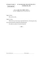 Đề thi học sinh giỏi tỉnh Nghệ An năm 2013 môn văn 12 doc