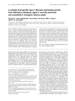 Báo cáo Y học: A complex fruit-speciﬁc type-2 ribosome-inactivating protein from elderberry (Sambucus nigra) is correctly processed and assembled in transgenic tobacco plants doc