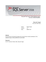 MICROSOFT SQL SERVER 2008 DATABASE ENGINE COMMON CRITERIA EVALUATION pptx