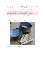 Trồng cây mơn mởn bằng hộp thức ăn nhanh pdf