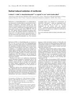 Báo cáo khoa học: Radical-induced oxidation of metformin pptx