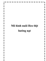 Mô hình nuôi Heo thịt hướng nạt docx