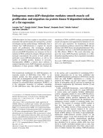 Báo cáo khoa học: Endogenous mono-ADP-ribosylation mediates smooth muscle cell proliferation and migration via protein kinase N-dependent induction of c-fos expression potx