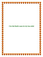 Các bài thuốc nam từ cây hoa nhài docx