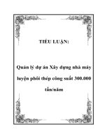 Quản lý dự án Xây dựng nhà máy luyện phôi thép công suất 300.000 tấn/năm