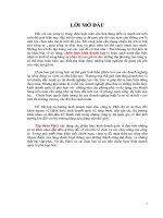 Tiểu luận Tập đoàn P&G