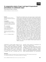 Báo cáo khoa học: A comparative study of type I and type II tryparedoxin peroxidases in Leishmania major pot