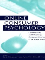 ONLINE CONSUMER PSYCHOLOGY Understanding and Influencing Consumer Behavior in the Virtual World docx