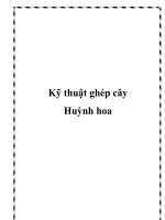 Kỹ thuật ghép cây Huỳnh hoa doc