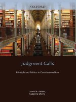 Judgment Calls: Principle and Politics in Constitutional Law pptx