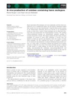 Báo cáo khoa học: In vivo production of catalase containing haem analogues pot
