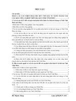 Đầu tư trực tiếp của nước ngoài vào các khu công nghiệp tỉnh Vĩnh Phúc: Thực trạng và giải pháp