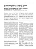 Báo cáo khoa học: b3-Adrenoceptor knockout in C57BL/6J mice depresses the occurrence of brown adipocytes in white fat pptx