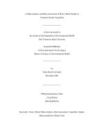 A meta analysis and risk assessment of heavy metal uptake in common garden vegestable