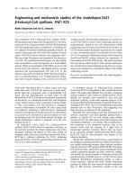 Báo cáo Y học: Engineering and mechanistic studies of the Arabidopsis FAE1 b-ketoacyl-CoA synthase, FAE1 KCS pot