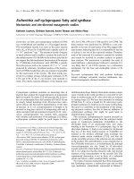 Báo cáo khoa học: Escherichia coli cyclopropane fatty acid synthase Mechanistic and site-directed mutagenetic studies potx